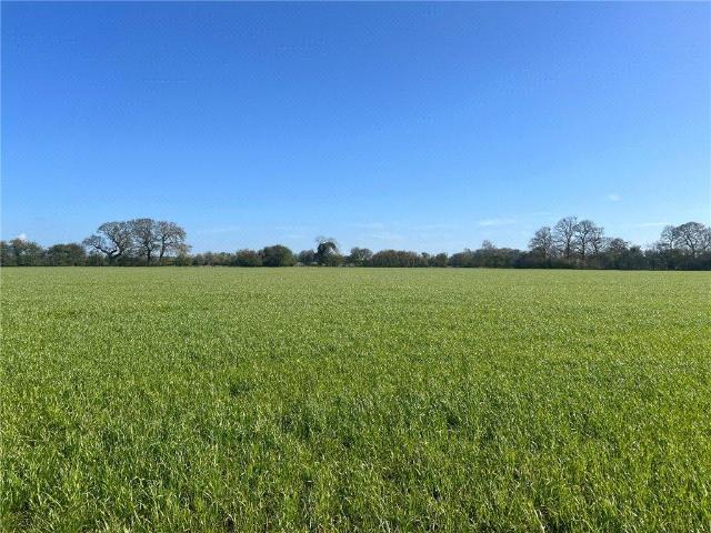 Land for sale in Healaugh, York and North Yorkshire