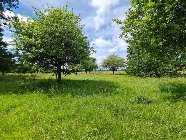 Commercial for sale in Hampton Bishop
