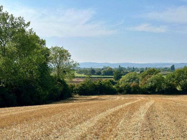 Land for sale in Elmore, School House