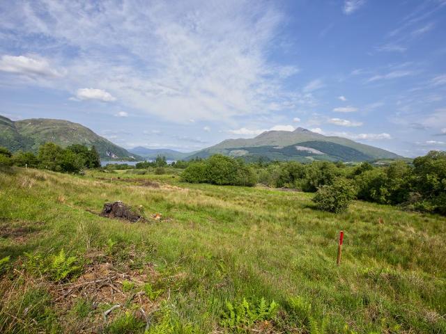 Land for sale in Taynuilt, Scotland