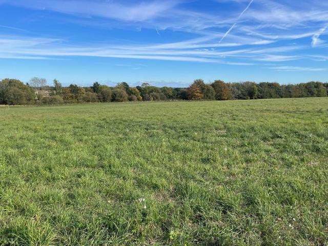 Land for sale in Martin, North Kesteven