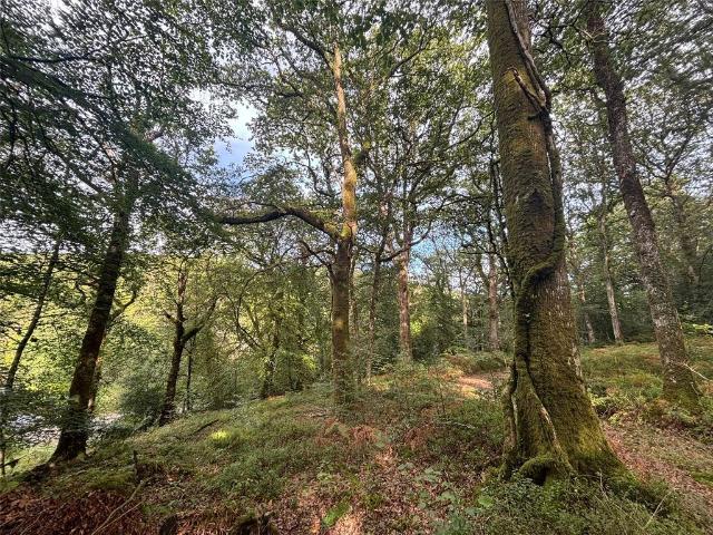 Land for sale in Stoodleigh, Mid Devon