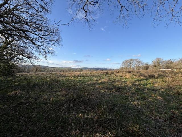 Land for sale in Talley, Wales