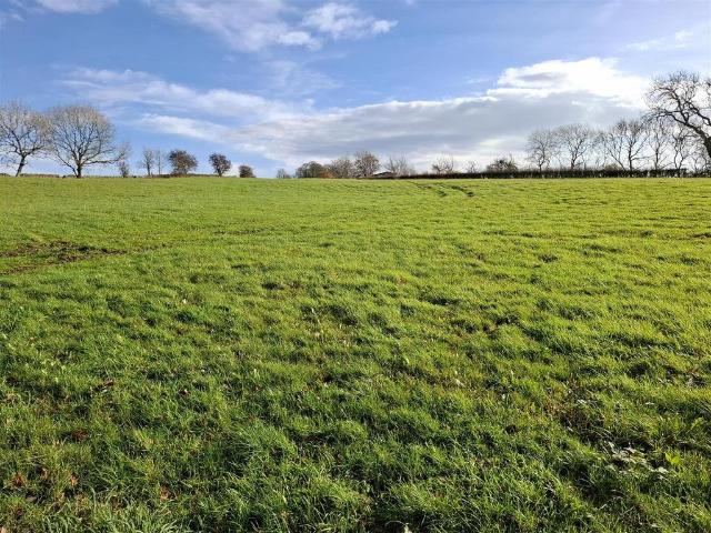 Land for sale in Kingsley Moor, Staffordshire