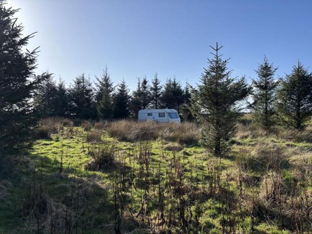 Land for sale in Scotland