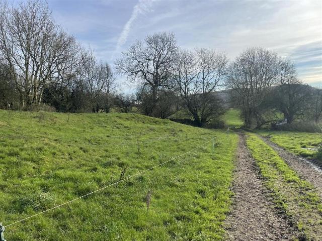 Land for sale in Ible CP, Derbyshire Dales