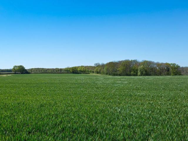 Land for sale in Middleton Moor, Eastbridge