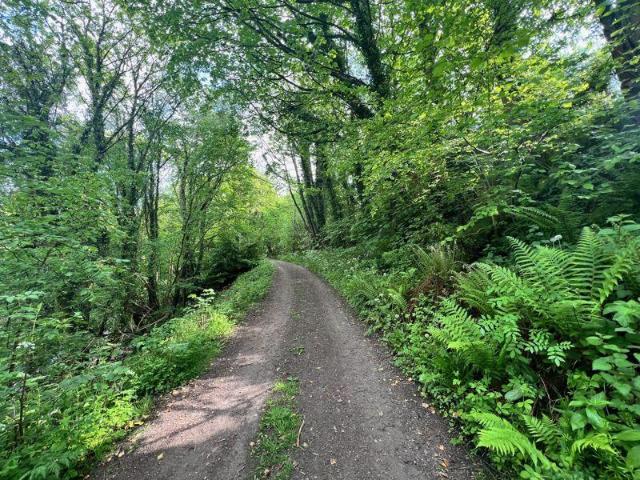 Land for sale in Wrexham, Sydallt