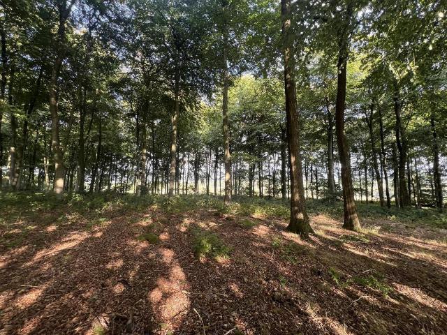 Land for sale in Oswestry, Shropshire