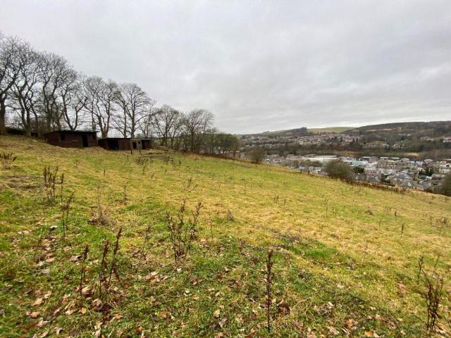Land for sale in Ashkirk, Scotland