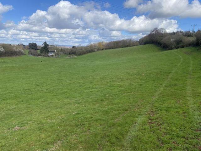 Land for sale in Bridford, Devon
