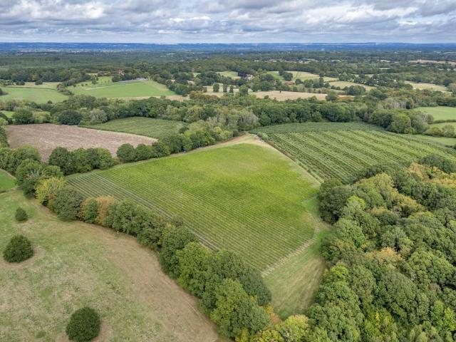 Land for sale in Goddard's Green, Tunbridge Wells