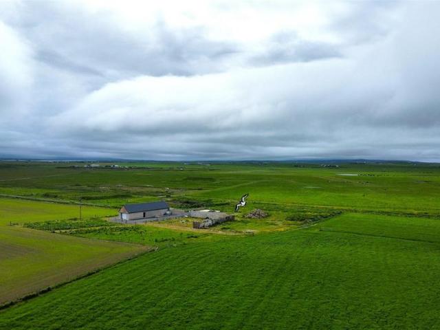 Commercial for sale in Scotland