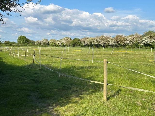 Land for sale in Banwell, Isle Of Man