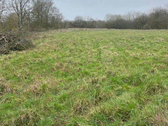 Commercial for sale in Sandon, Chelmsford