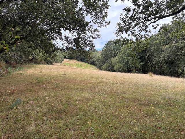Land for sale in Strode, Devon