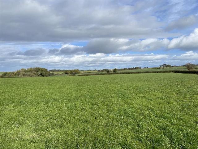 Land for sale in Chulmleigh, North Devon