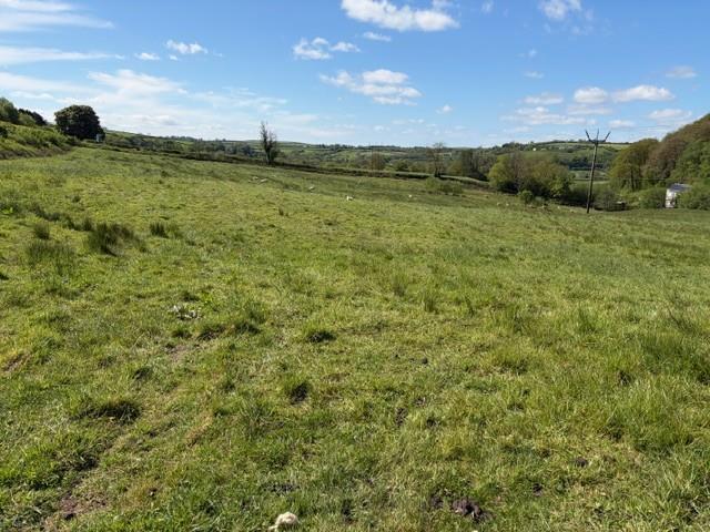 Land for sale in Alltwalis, Wales