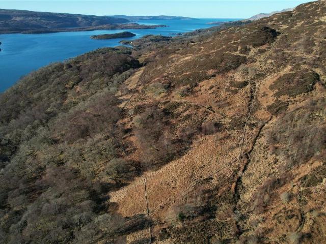 Land for sale in Scotland