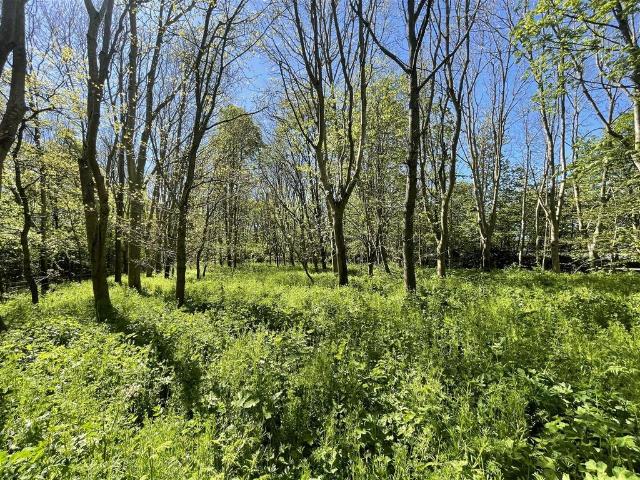 Land for sale in Huttons Ambo, North Yorkshire