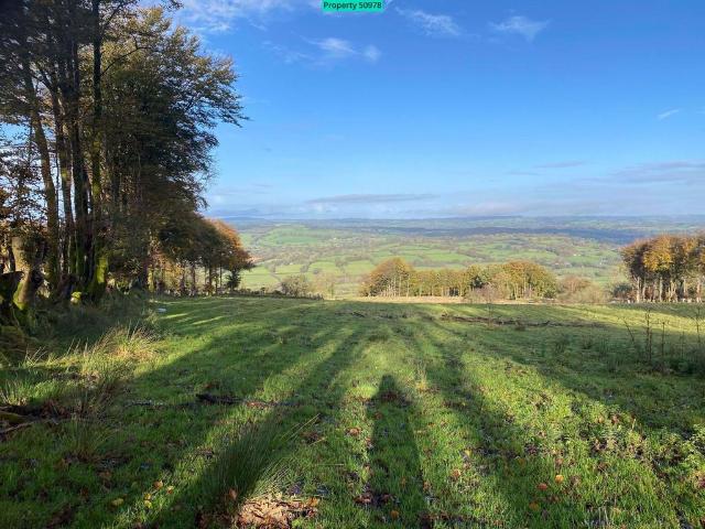 Land for sale in Llanddewi Brefi, Llanddewi-brefi