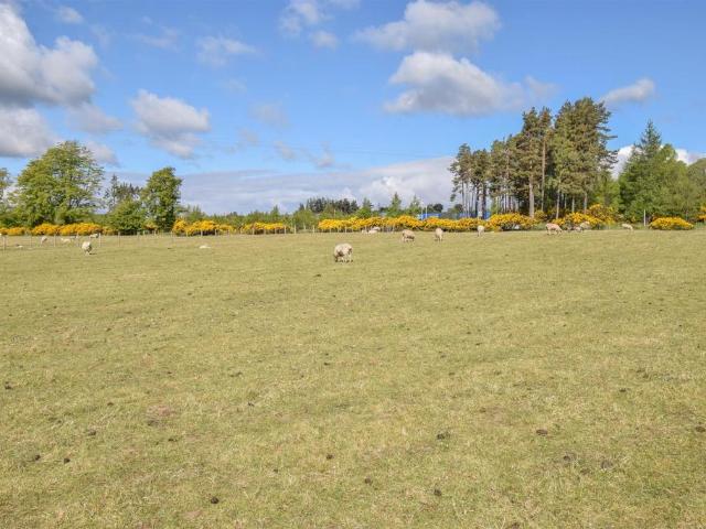 Land for sale in Scotland
