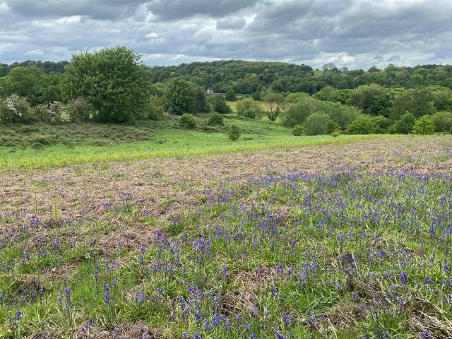 Land for sale in Salt, Baswich