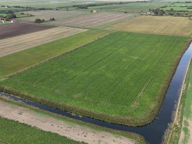 Land for sale in Downham, East Cambridgeshire