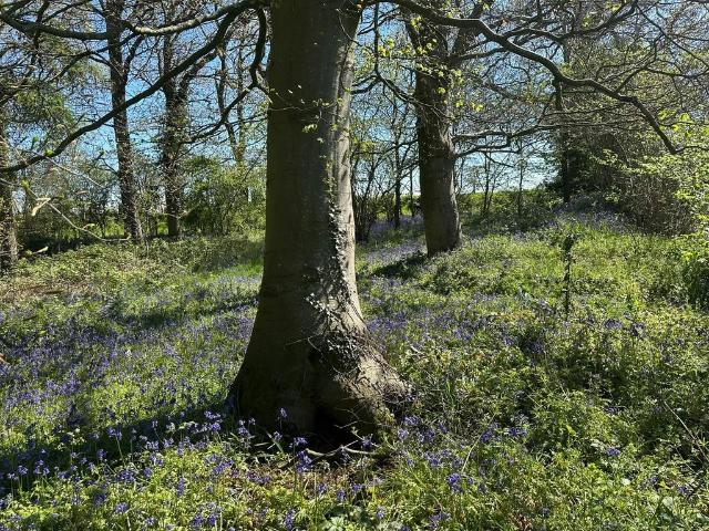 Land for sale in Bromsgrove, Worcestershire