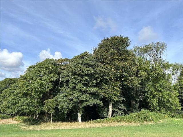 Land for sale in Wales