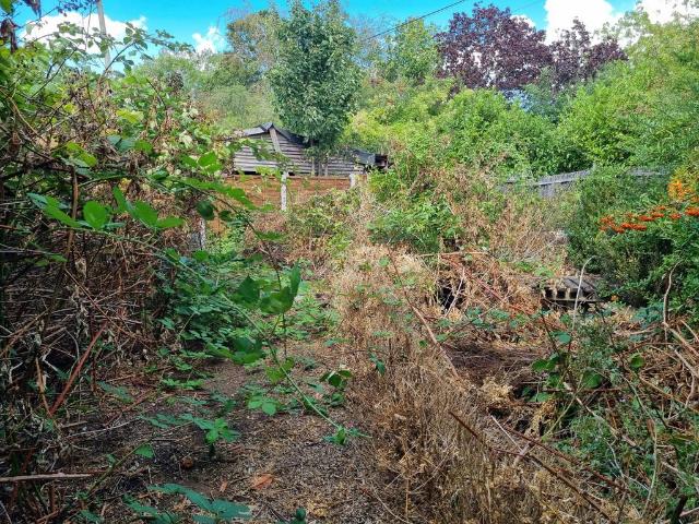 Land for sale in Eastbridge, Suffolk