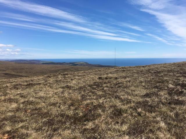 Land for sale in Helmsdale, Scotland