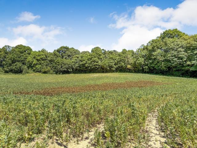 Land for sale in Woodmans Green, Rother