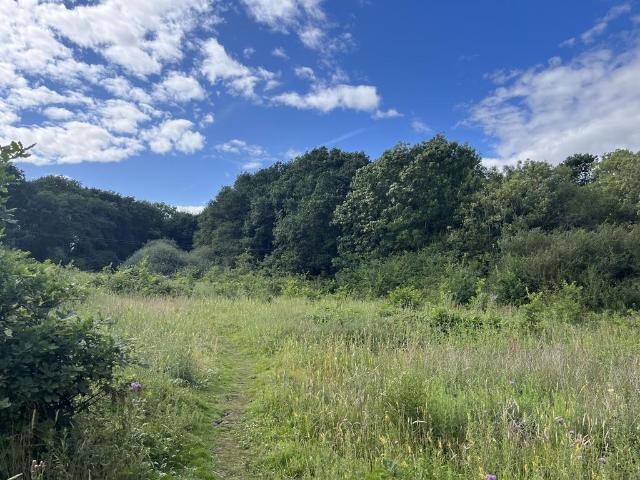 Land for sale in Iron Acton, Engine Common