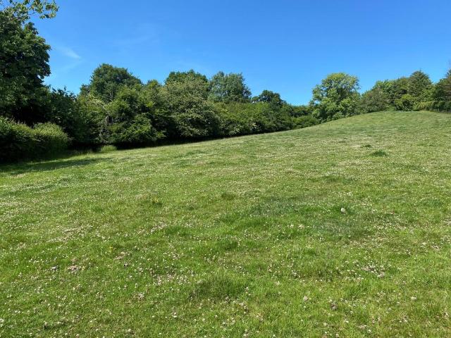 Land for sale in Weir Quay, Devon