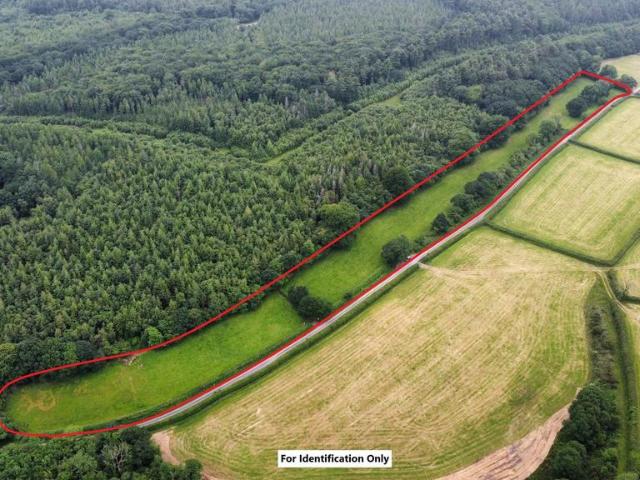 Land for sale in Wales