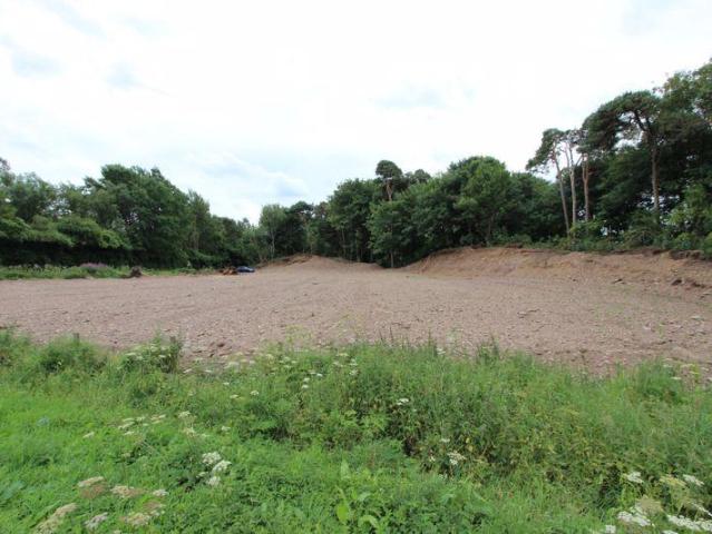 Land for sale in Collessie, Scotland