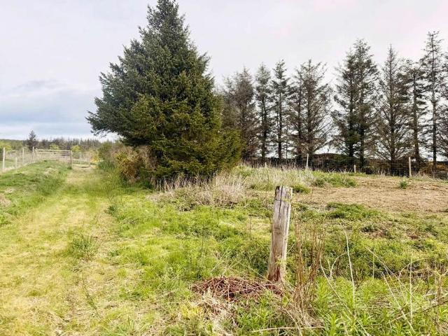 Land for sale in Mains of Buckie, Buckie