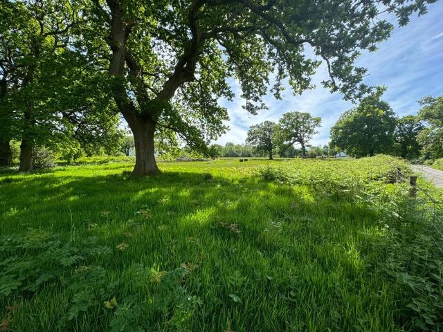 Land for sale in Wales