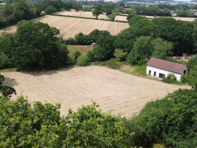 Land for sale in Curland, Somerset