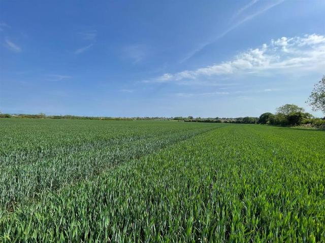 Land for sale in Amotherby