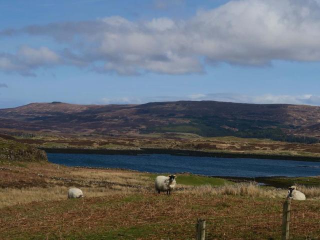 Land for sale in Glendale, Scotland