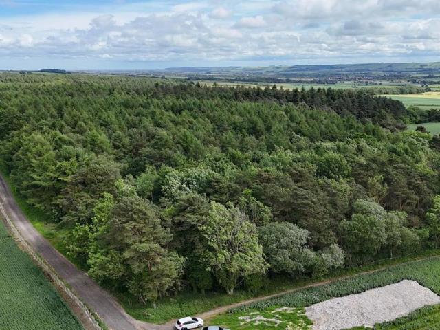 Land for sale in Irton, North Yorkshire