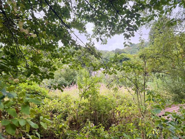 Land for sale in Todmorden, West Yorkshire