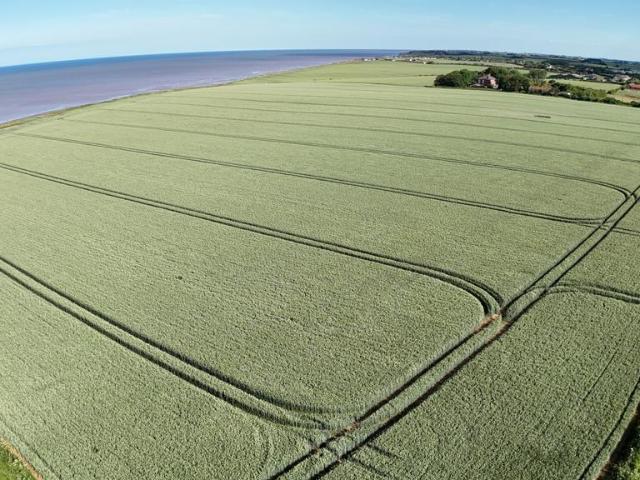 Commercial for sale in Tunstall, Roos