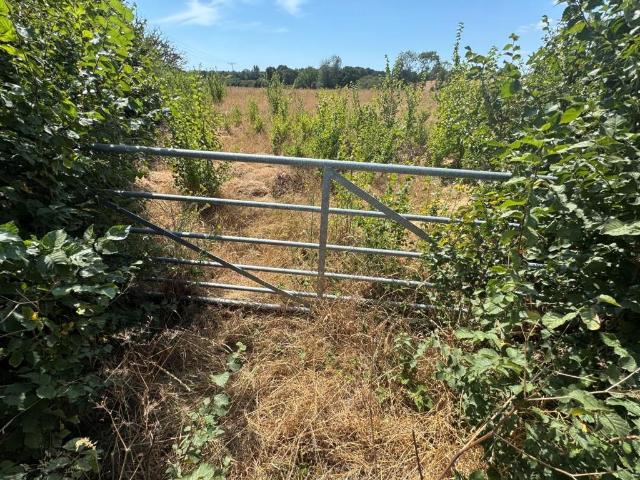 Commercial for sale in Bridgefield, Kent