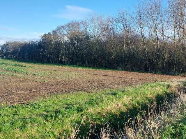 Land for sale in Skeffling, East Riding Of Yorkshire