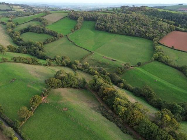 Land for sale in White Cross, Mid Devon