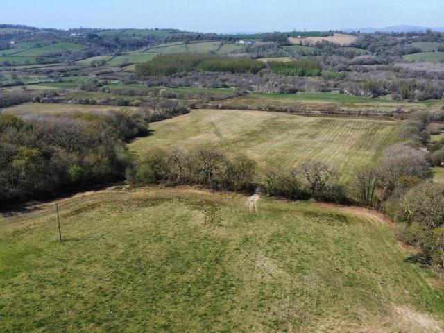 Land for sale in Llanddewi Velfrey