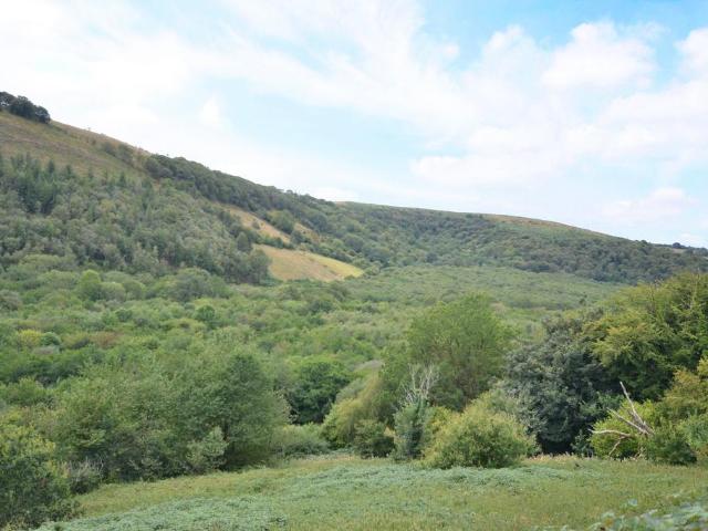 Land for sale in Talley, Wales